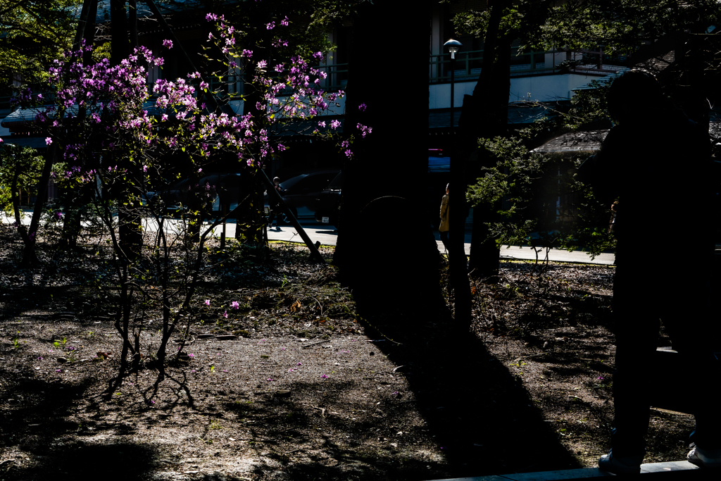 被写体に近づけ