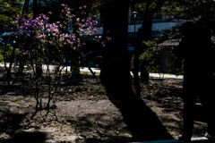 被写体に近づけ