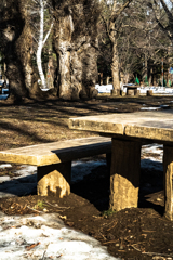 ちょっと早すぎた２