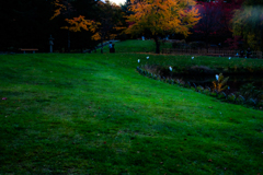 公園内の日本庭園