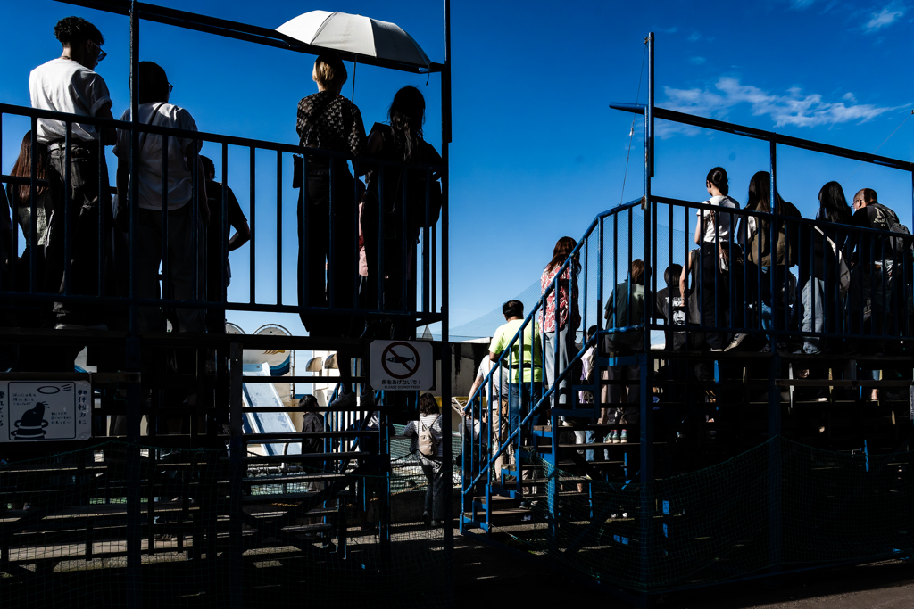 ペンギンショーを見損なった
