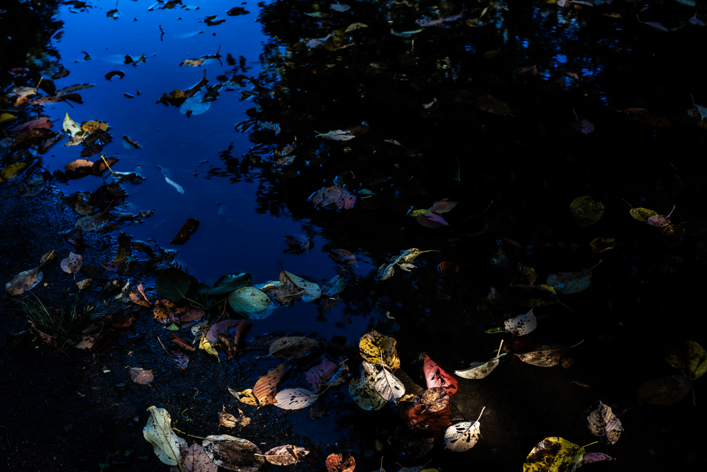 昨日は大雨だった