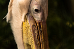 動物園０７０２ー５