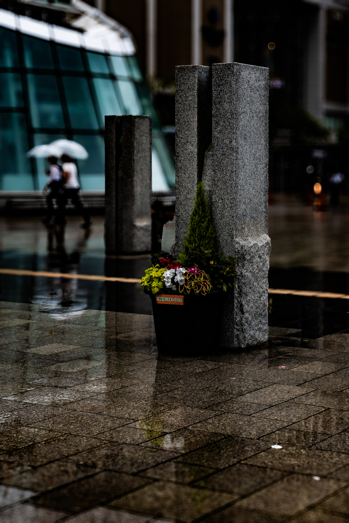 雨の石柱