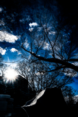 雪まつり２５０２０６４