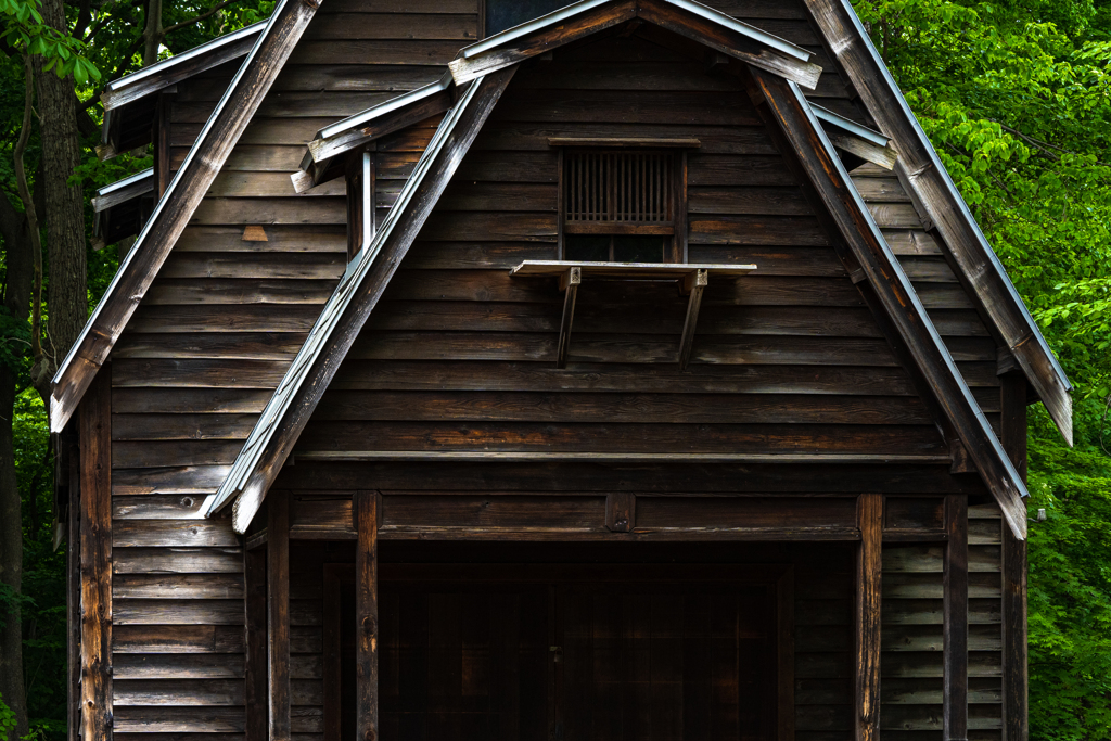 北大植物園０５２７