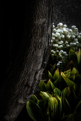 道路脇の花壇１０１３２