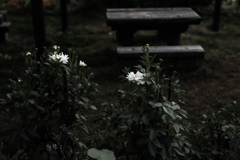 野津幌川遊歩道１