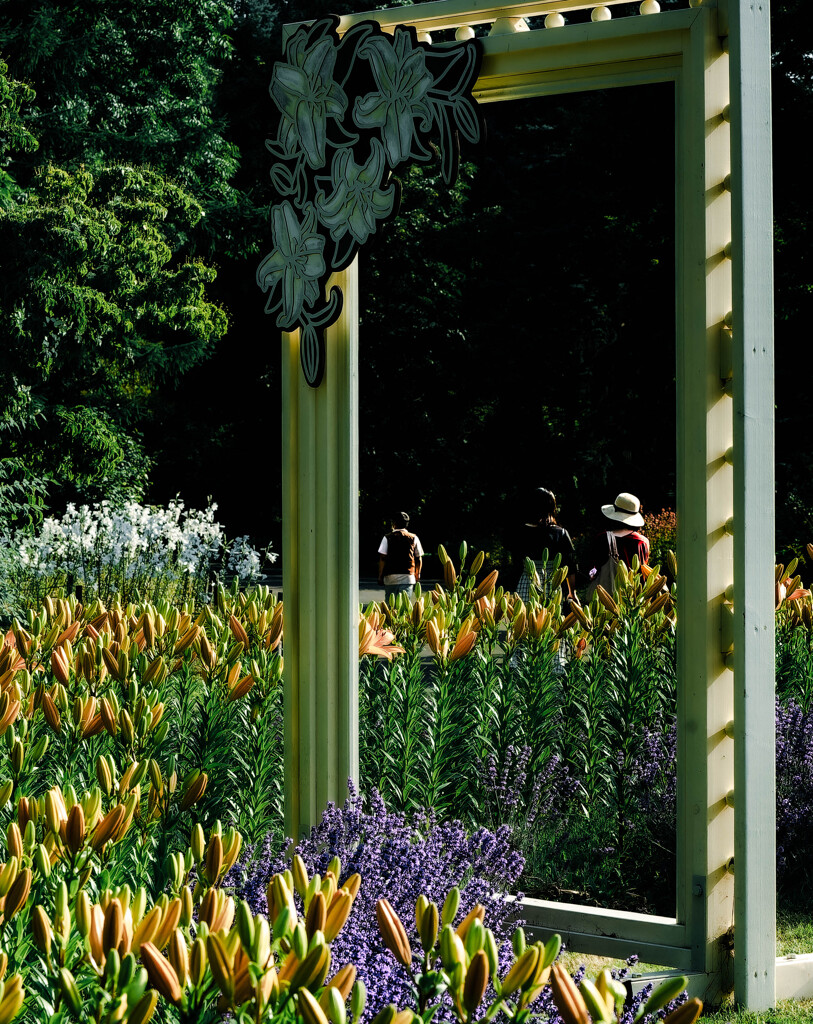 七月の百合が原公園