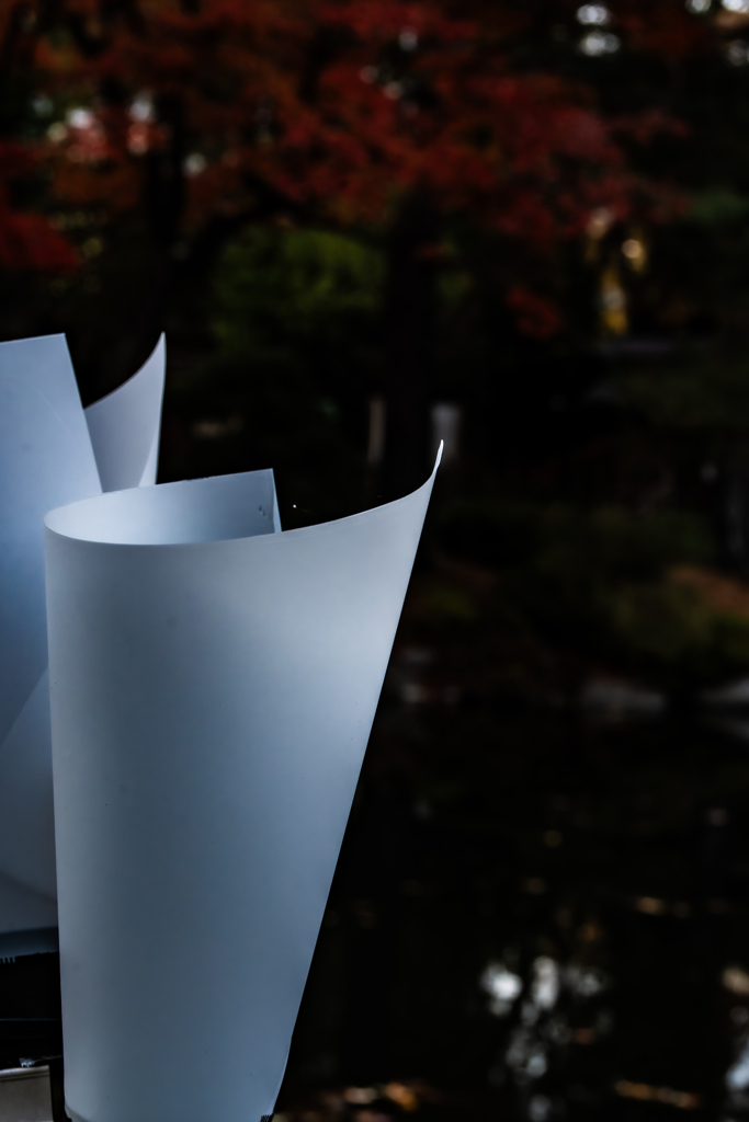 ライトアップは午後６時から