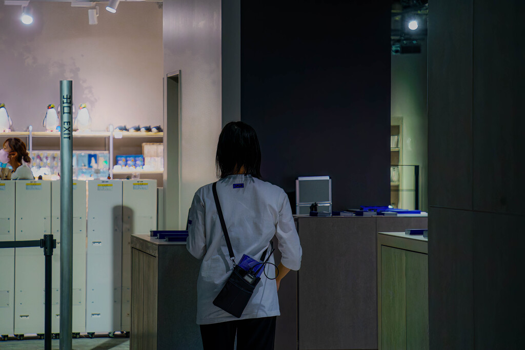 水族館のスタッフ