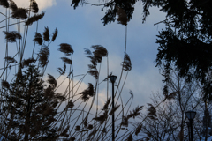 あしたの風はもっと強い