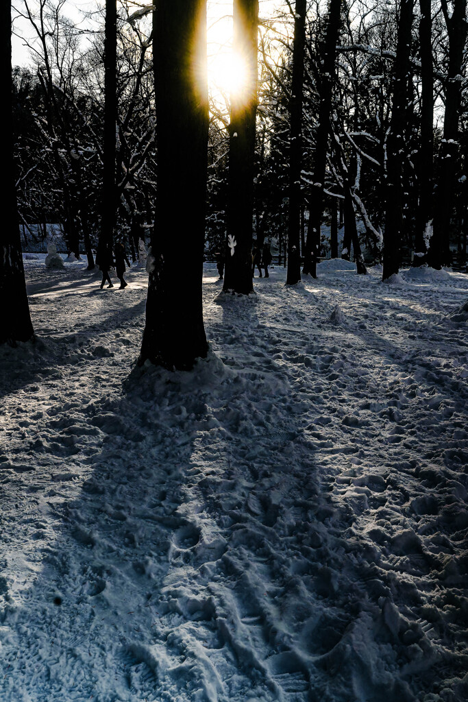 円山公園午後２時