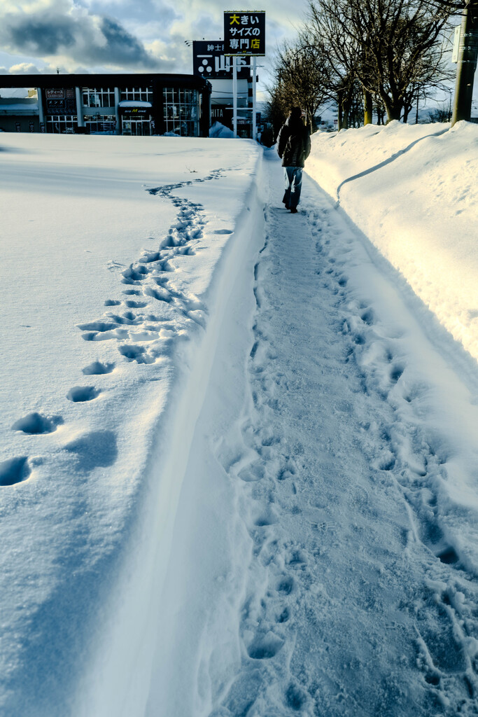 札幌福住ぶらり7
