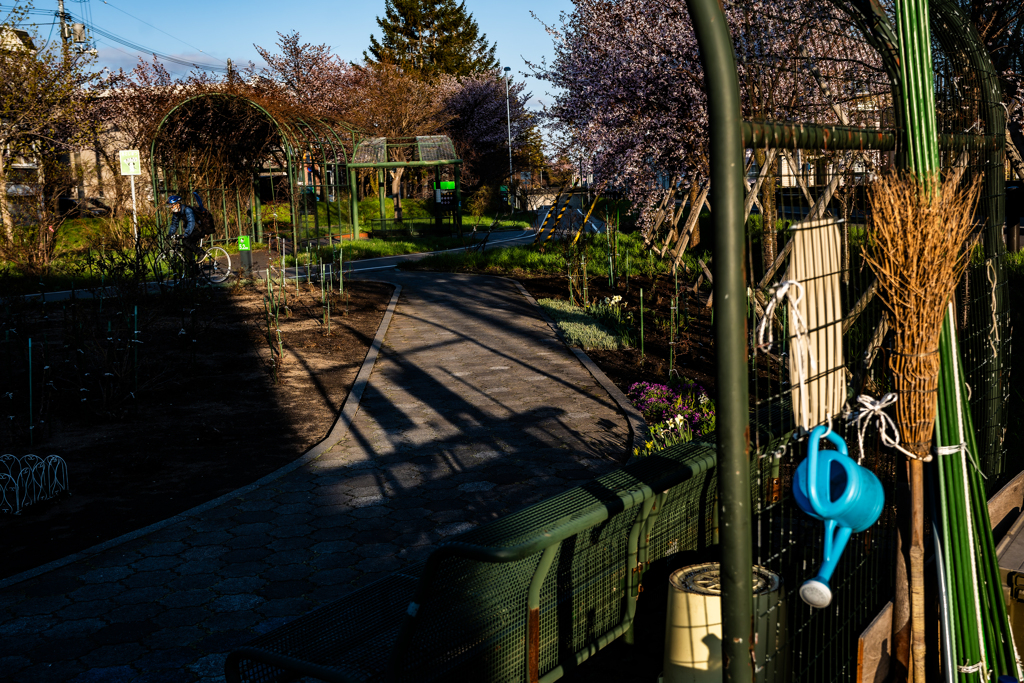 サイクリングロード脇の花壇