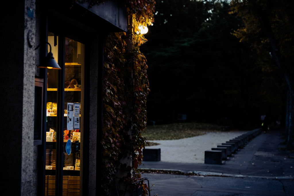 円山公園午後五時１