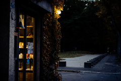 円山公園午後五時１