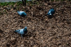 うまくいった２