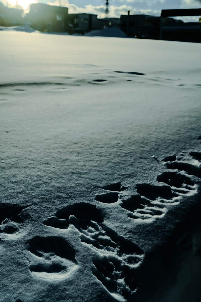 札幌福住ぶらり5