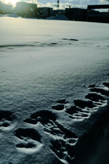 札幌福住ぶらり5