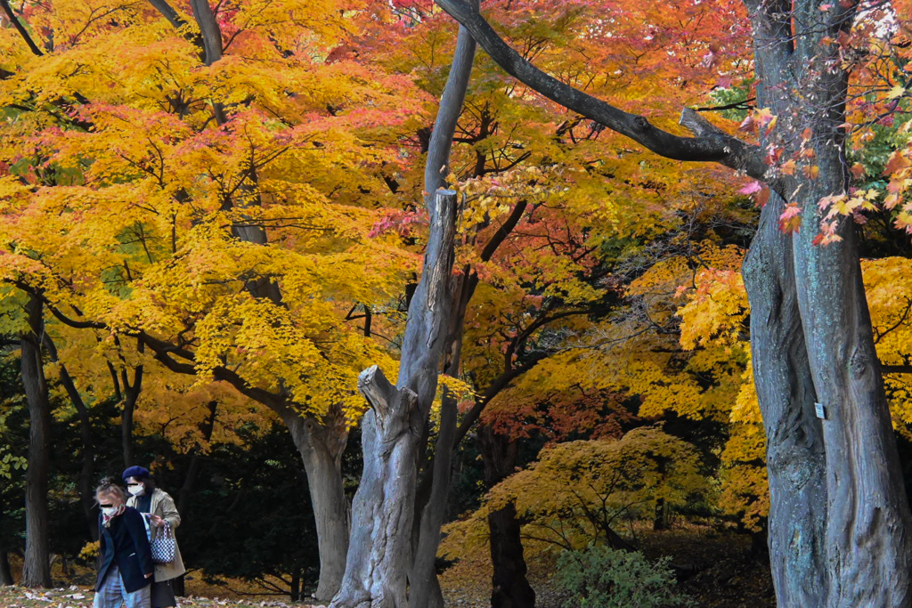 足元に気を付けて