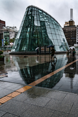 雨の中のアピアドーム
