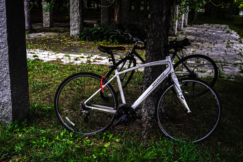 前田森林公園７