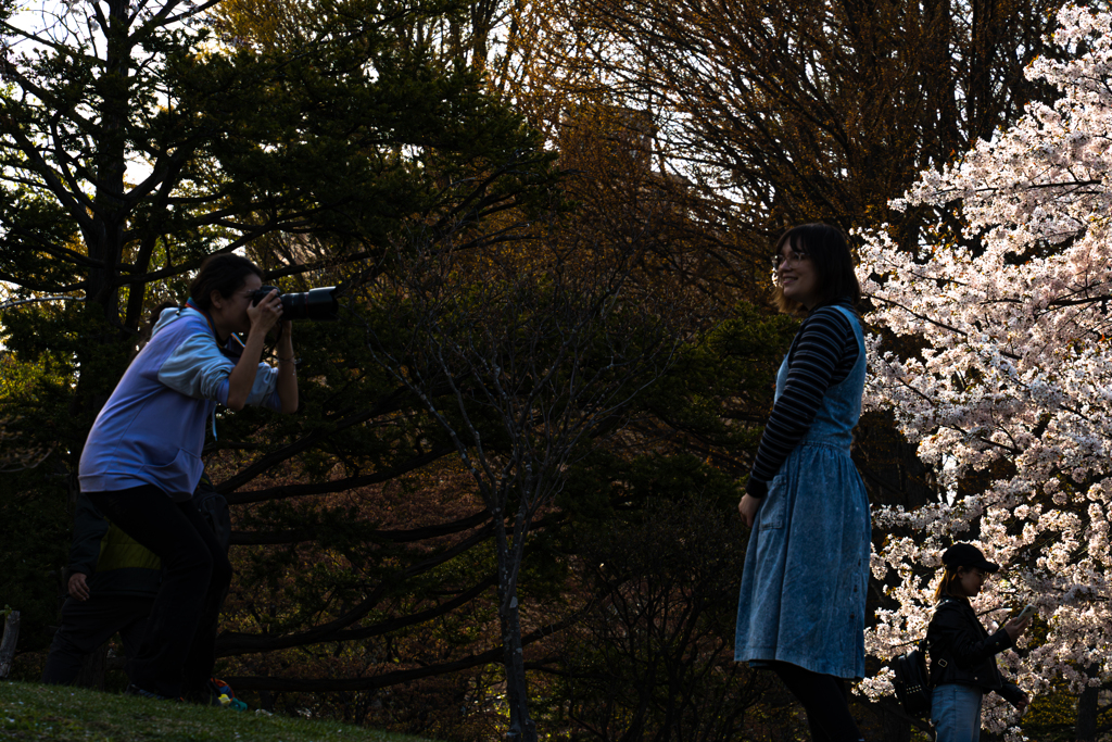 中島公園４−２５ー１１