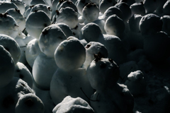 雪だるま