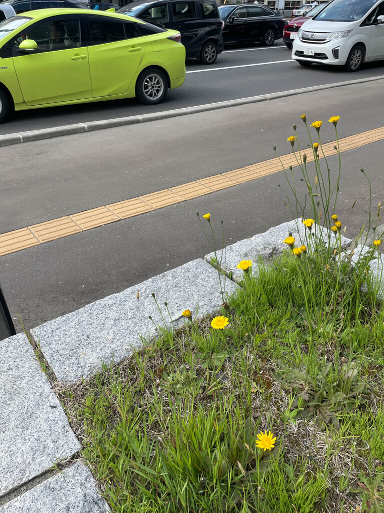 天気がいいので、室蘭へ