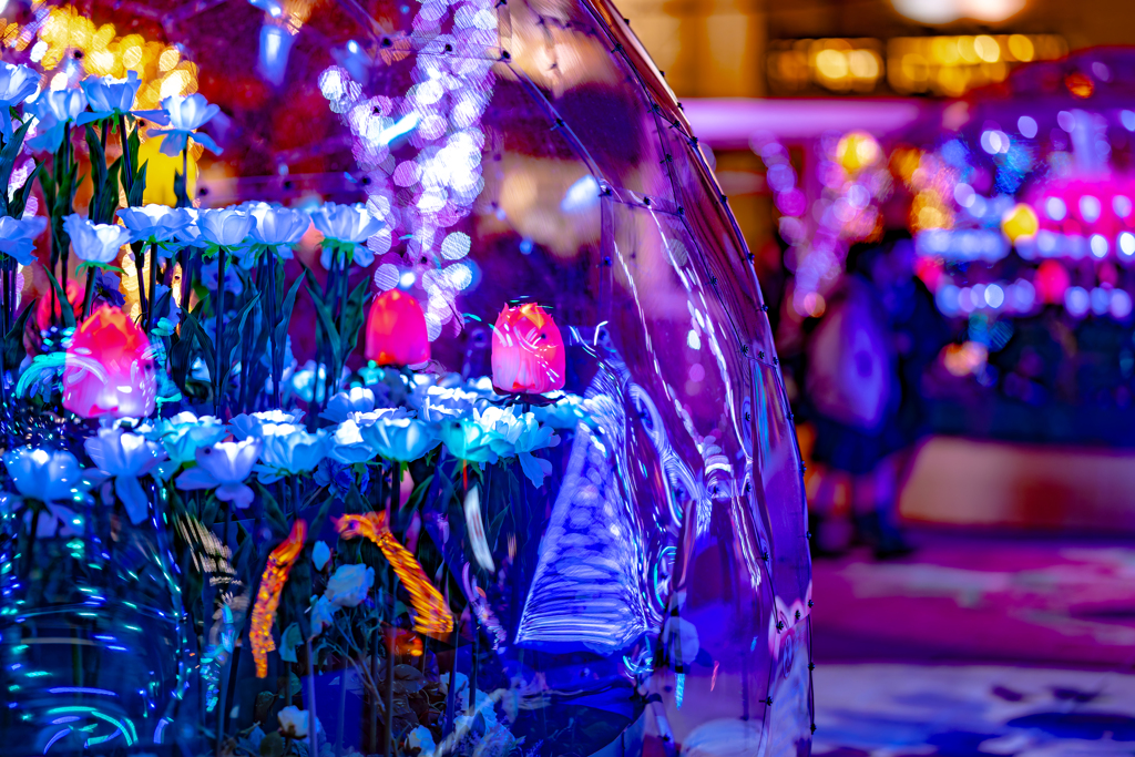 夜の札幌駅前広場で