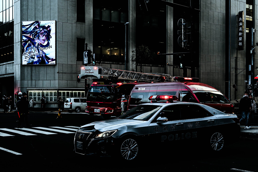 不謹慎ですがショーのご案内