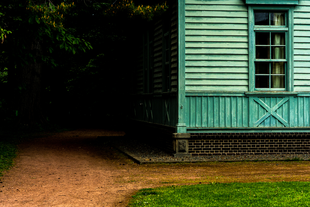 北大植物園０５２６５