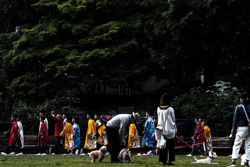 よさこい大通り会場で