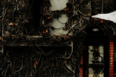 そもそも何の店だったのか