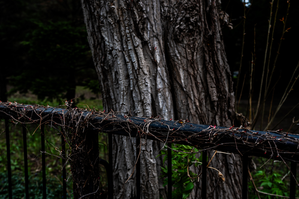 うまくいった１