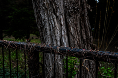 うまくいった１