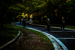 昼すぎて日差しさす