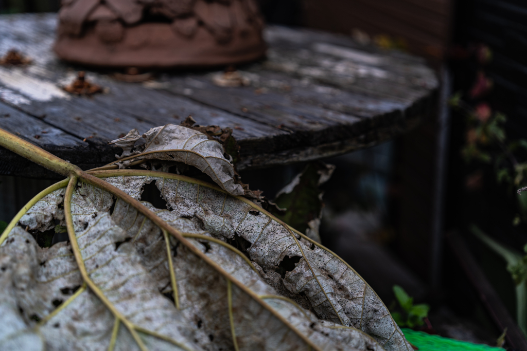 旧手宮線界隈８