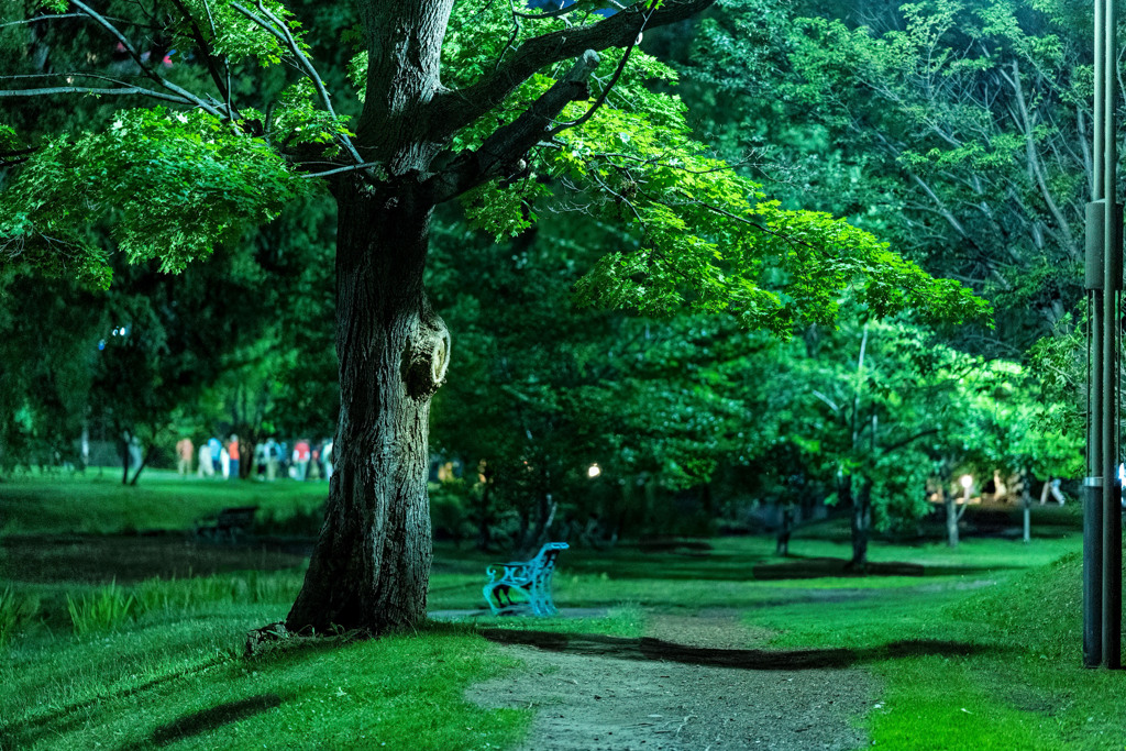 中島公園コンサート帰り230723