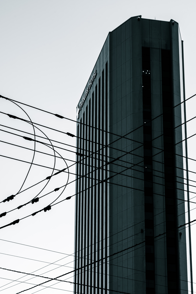 中島公園脇のホテル