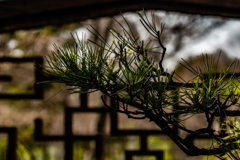 漏窓(透かし窓)1