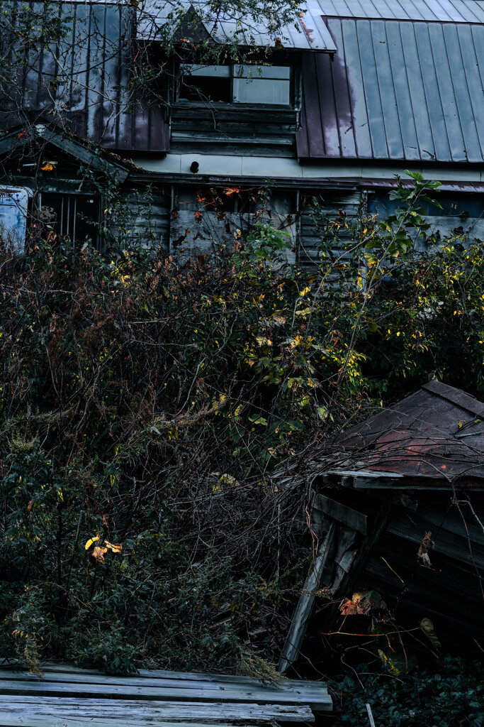 小樽朝里の廃屋