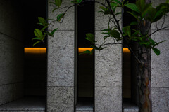 マンションのエントランス