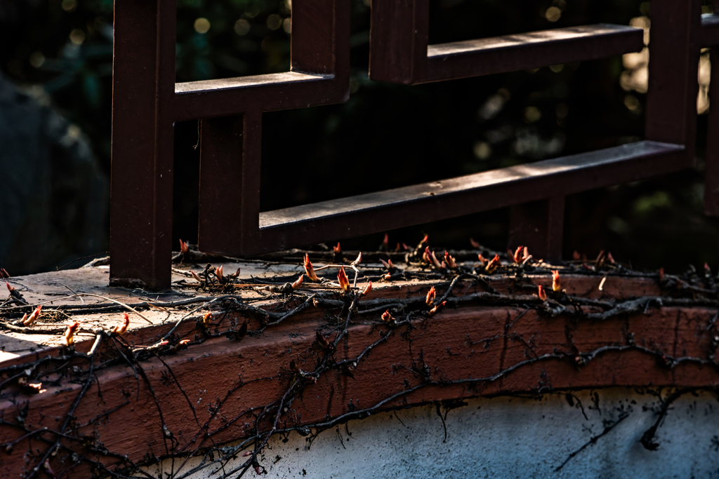 漏窓(透かし窓)3