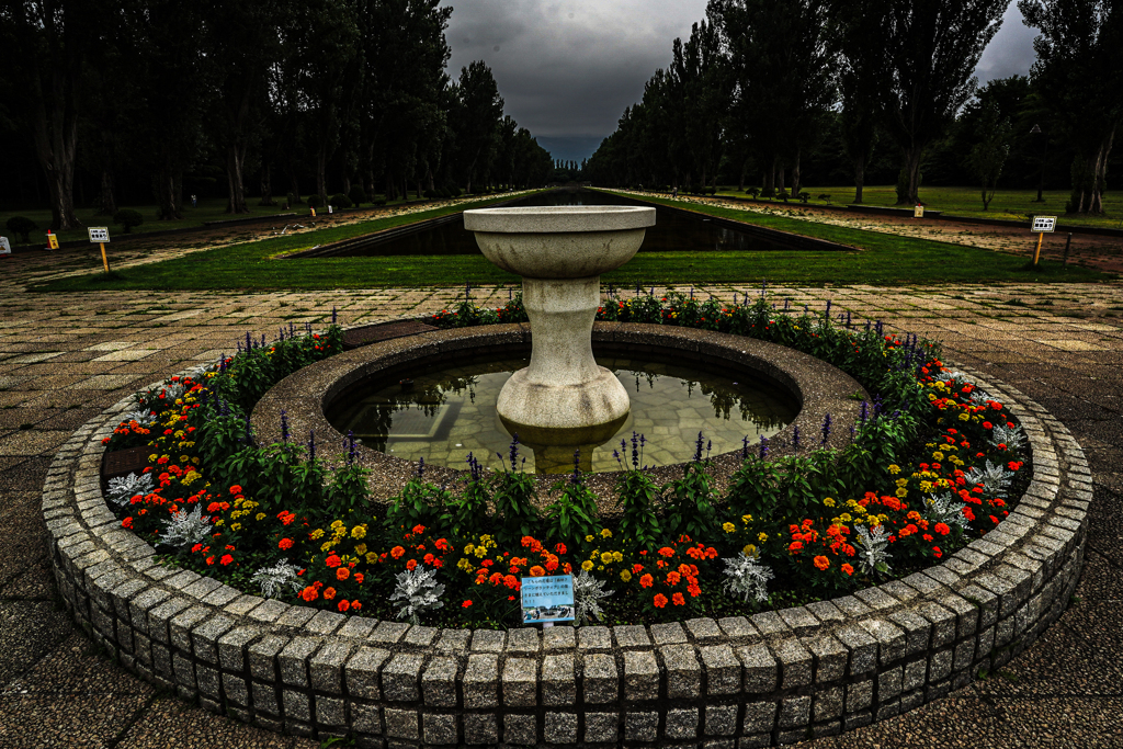 前田森林公園３