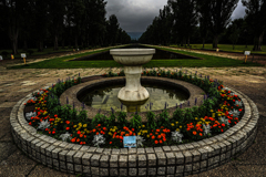 前田森林公園３