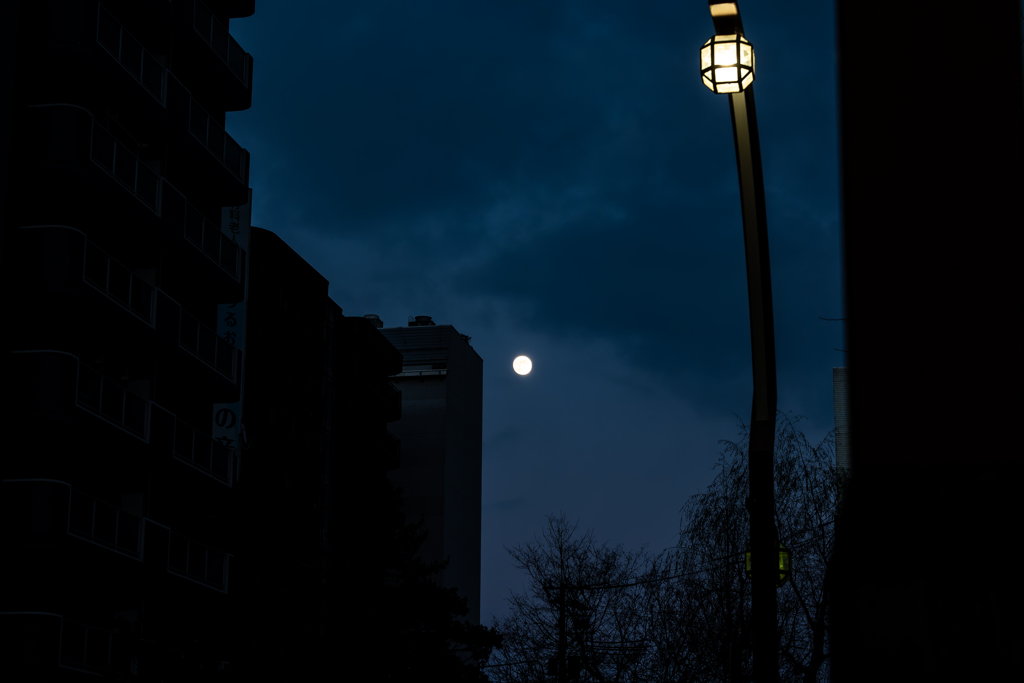 ススキノ１２１４１2dng