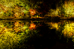 撮影されてるのか