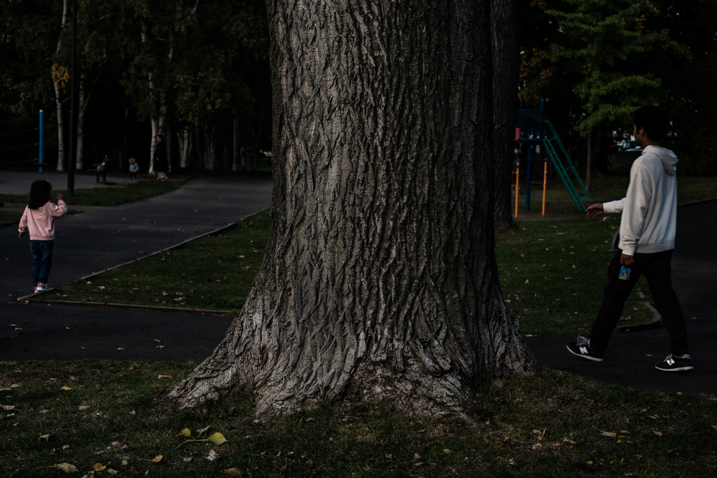 発寒河畔公園２